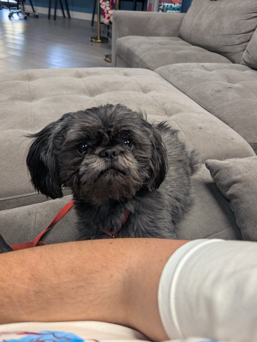 PAR | ScrawtV @EVOJapan 🇯🇵 tweet media