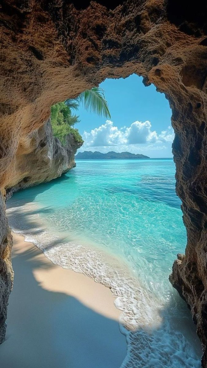 bluedreamvibes's tweet image. 