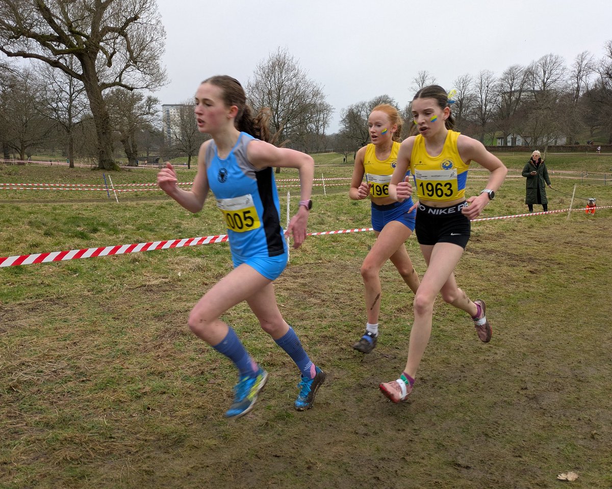 Mark Johnston tweet media