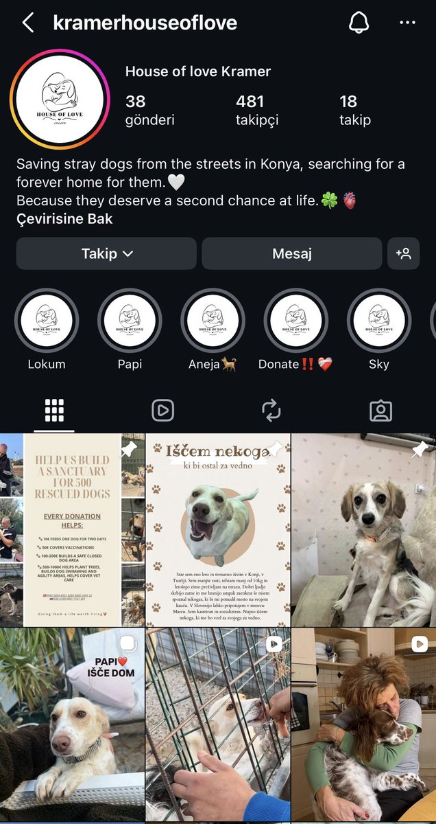 Özgesita tweet media