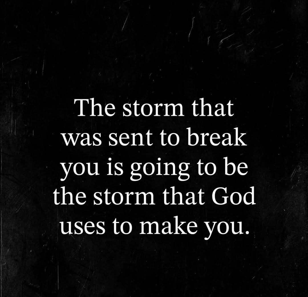 Adam Jefferies tweet media