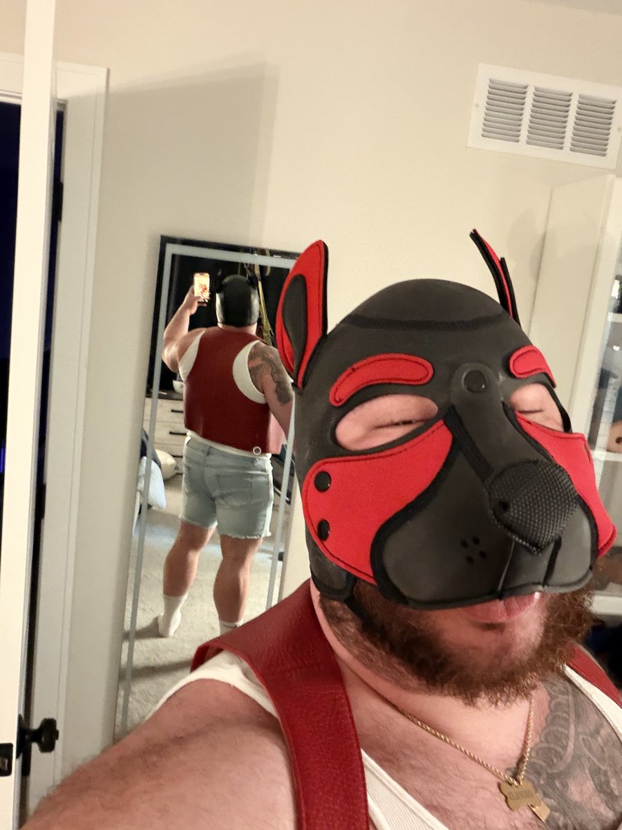 Scout the Stout tweet media