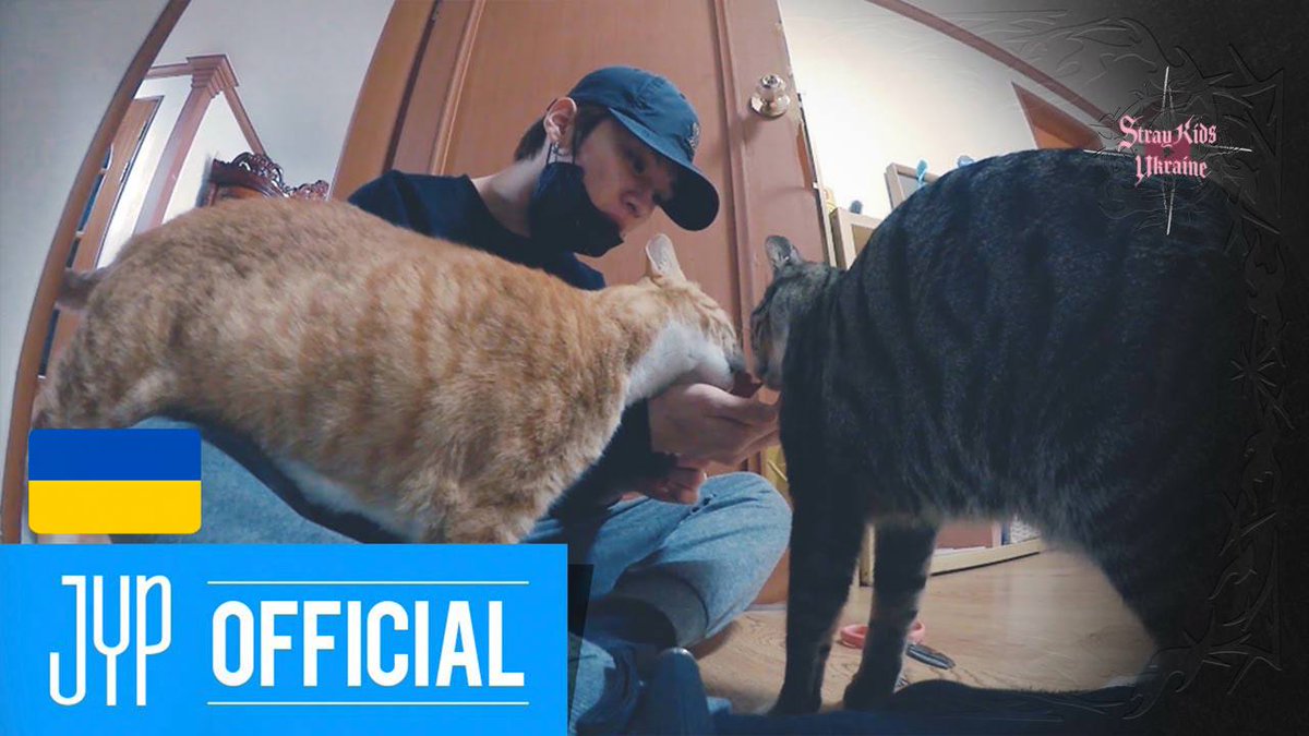 StrayKids__UA's tweet photo. 🎬| [SKZ VLOG] Ліно : Ліно, не роби все, що заманеться з 🇺🇦 субтитрами вже на каналі Stray Kids Ukraine!

🐈: https://t.co/vi0c2uPZ5w
·
·
#StaySub #StrayKids #StrayKidsUkraine #LeeKnow #SKZVLOG #스트레이키즈 https://t.co/RwzKC8h80u