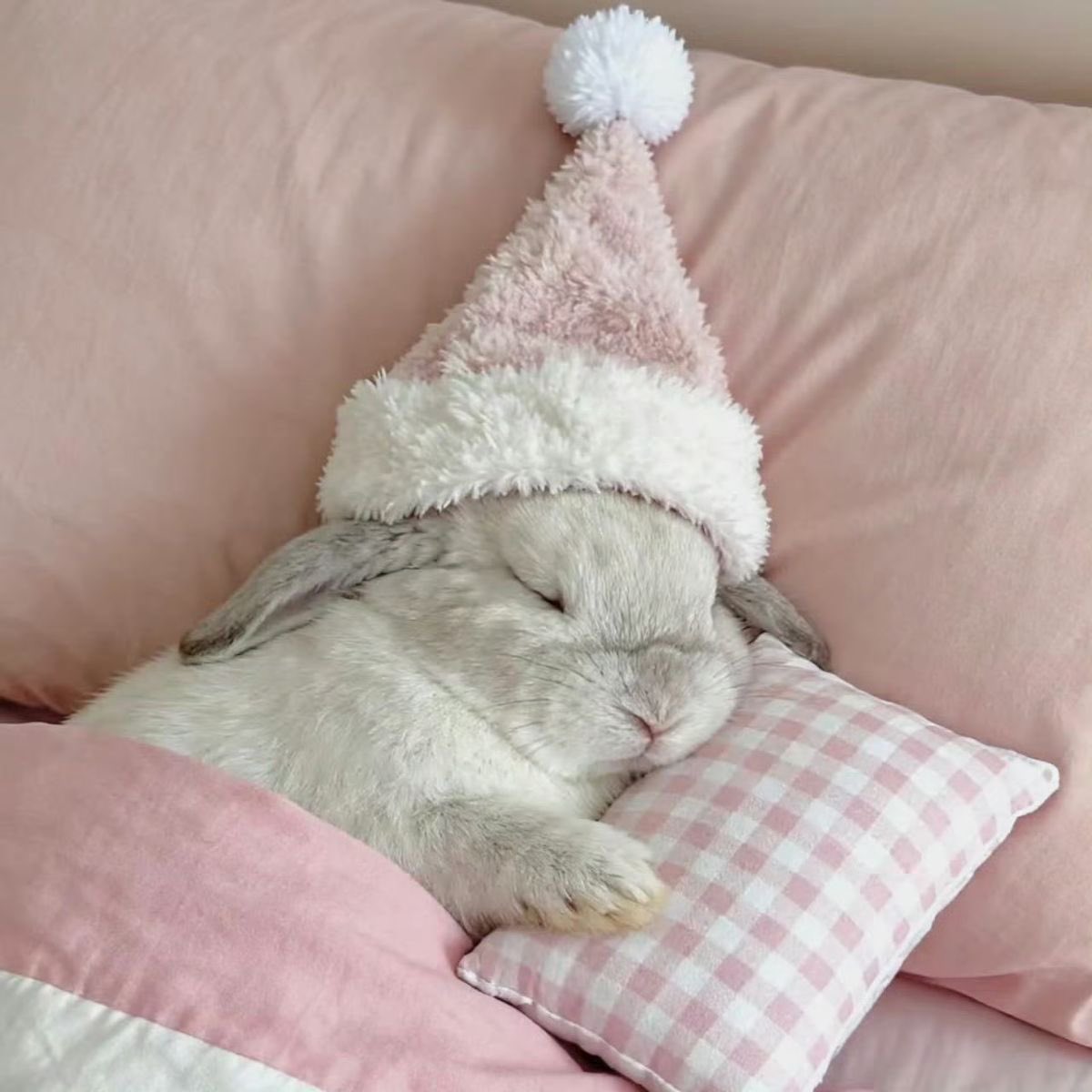 🐰 𝑇𝑜𝑘𝑘𝑖 키스 💋💋 (@_bunnykisses) on Twitter photo 