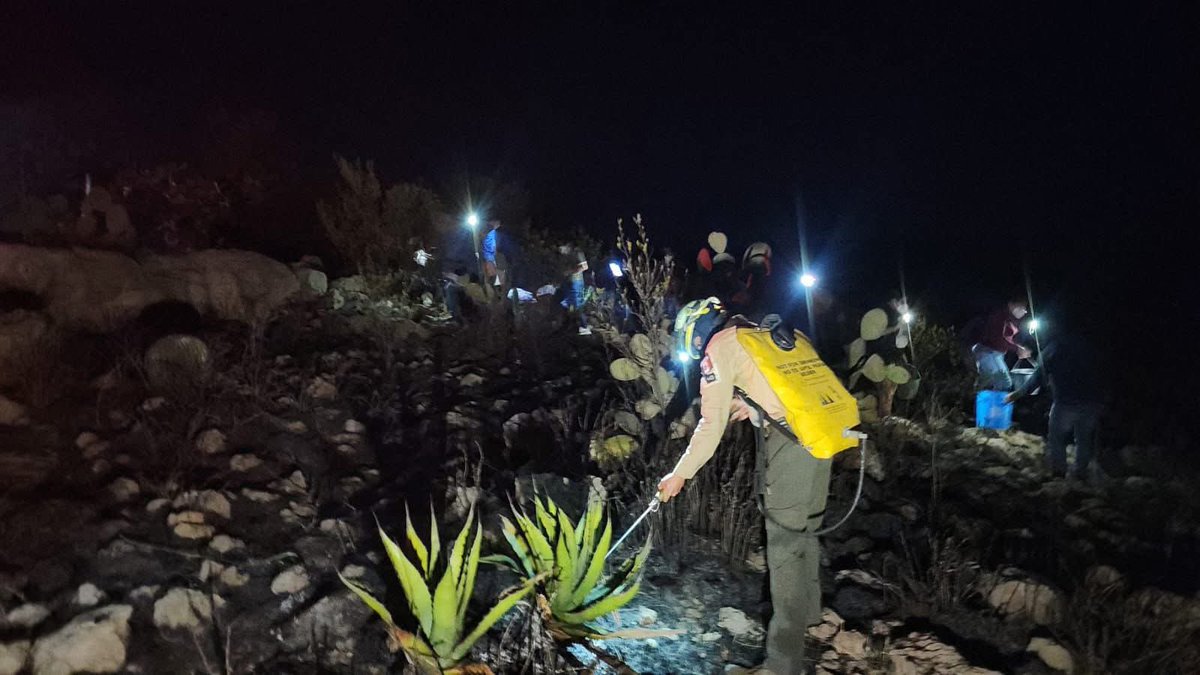 RGC_Mx's tweet photo. ⚠️ Actualización

Seguimos trabajando de manera coordinada ahijadxs para atender los incendios forestales en Cerritos, Guadalcázar y Mexquitic de Carmona.

Este sábado, brigadas de la SEDENA, Protección Civil estatal y municipal, así como de la CONAFOR continuaron las labores para controlar los incendios en Estación Montaña en Cerritos y en la comunidad de San Carlos en Guadalcázar.

Asimismo ahijadxs, el incendio registrado la noche del viernes en el cerro de Damián Carmona, en Mexquitic, ya fue controlado en su totalidad.

#PotosíSinLímites #ElCambioQueSeVive #SLP #IncendiosForestales