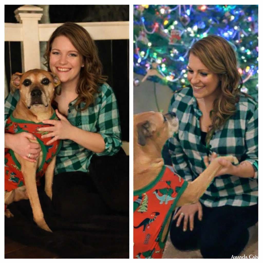 Mr PitBull tweet media