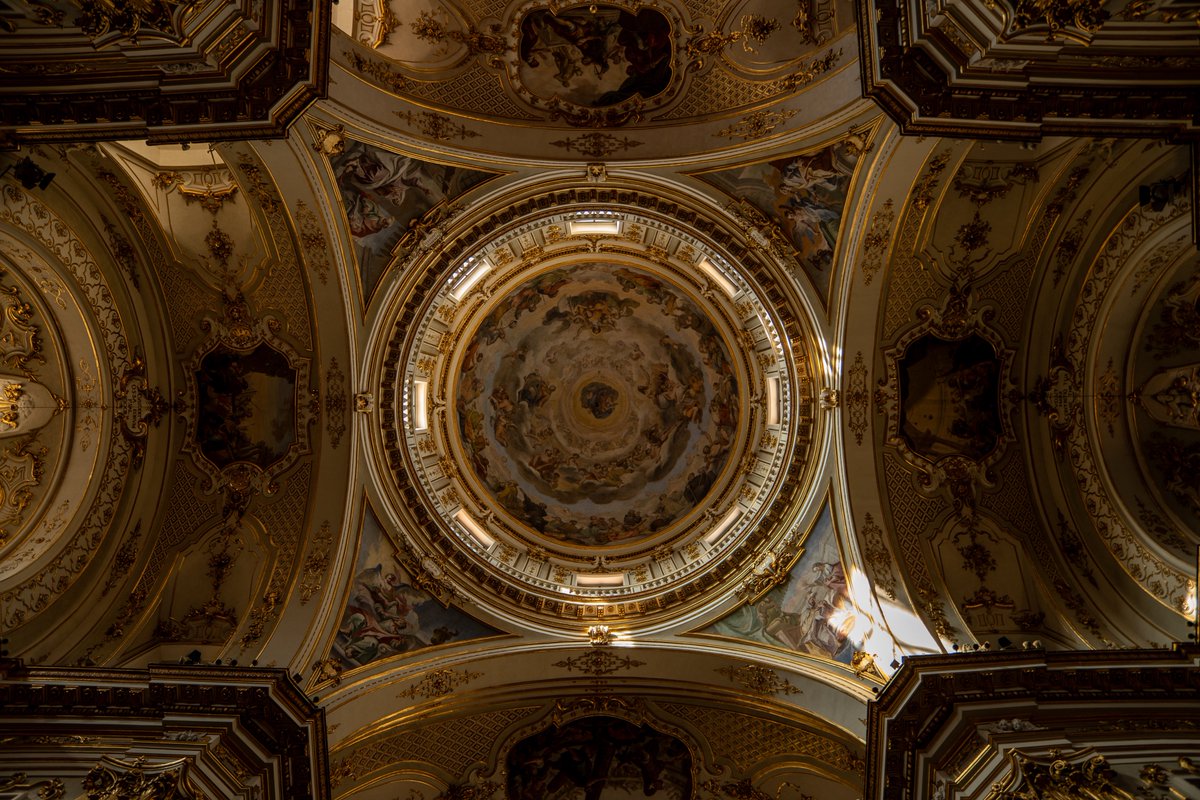 Raphael Barberi📷 tweet media