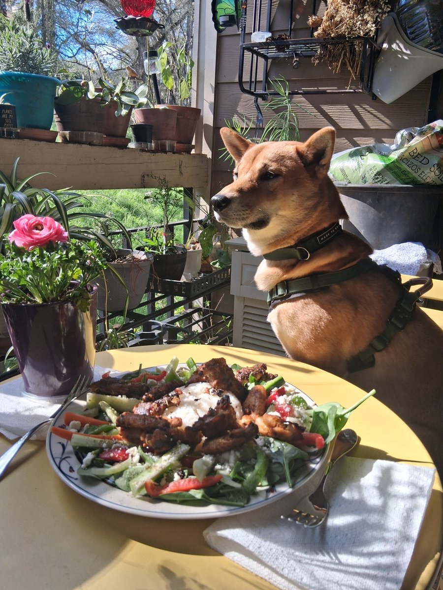 Starshining tweet media