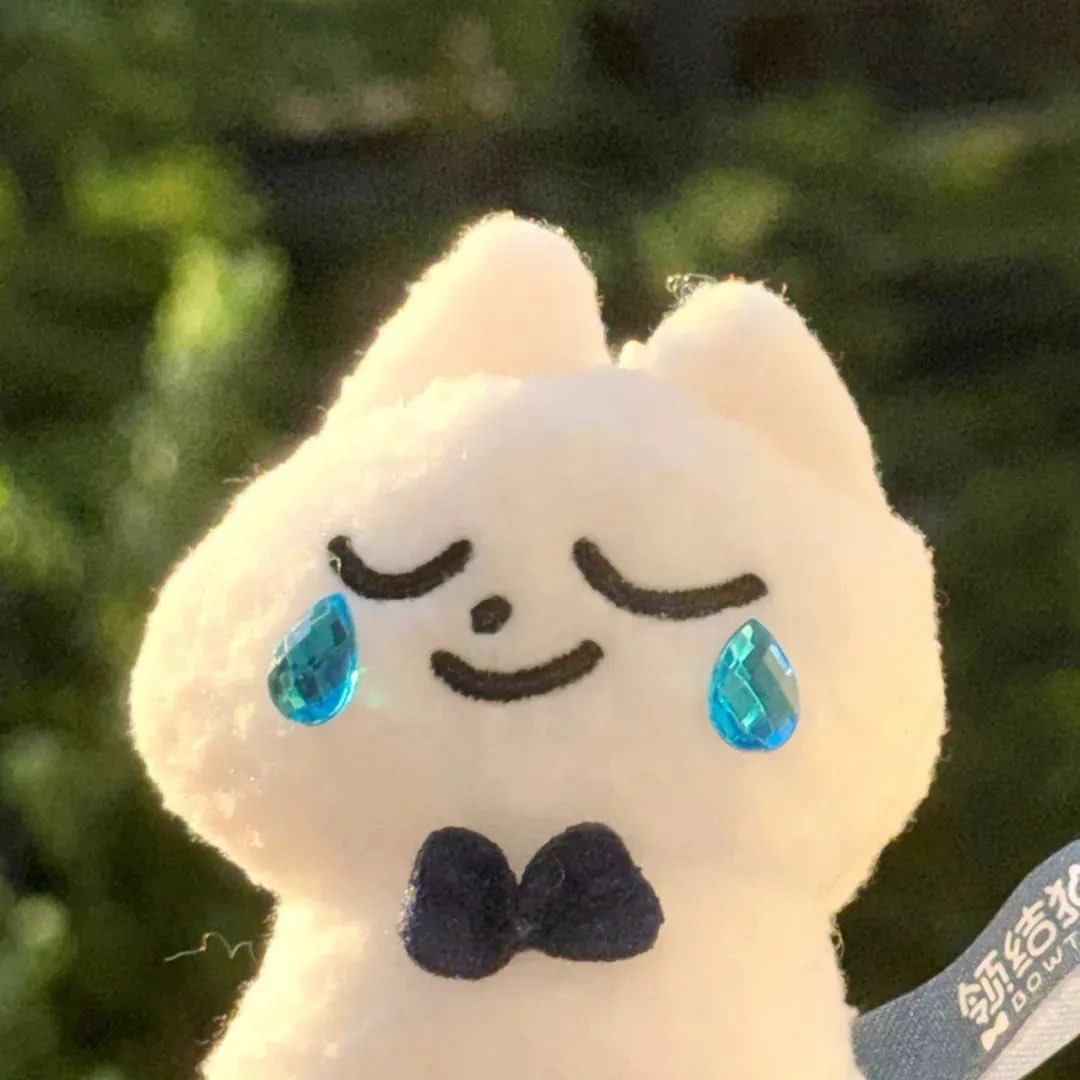 有个好天气 tweet media