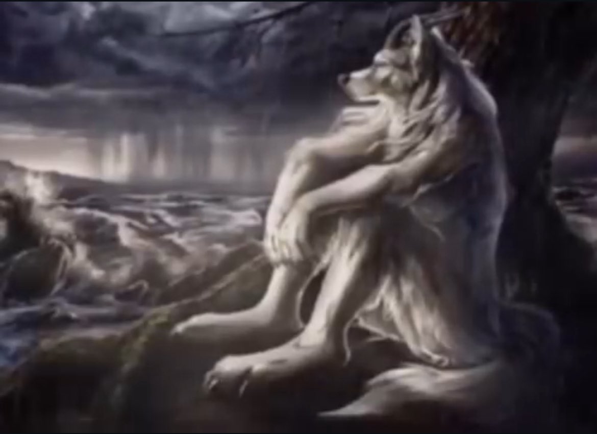 Mizzou Men's Club Ultimate tweet media