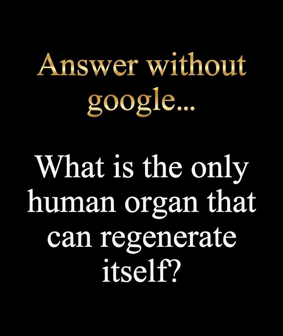 LadyValor tweet media