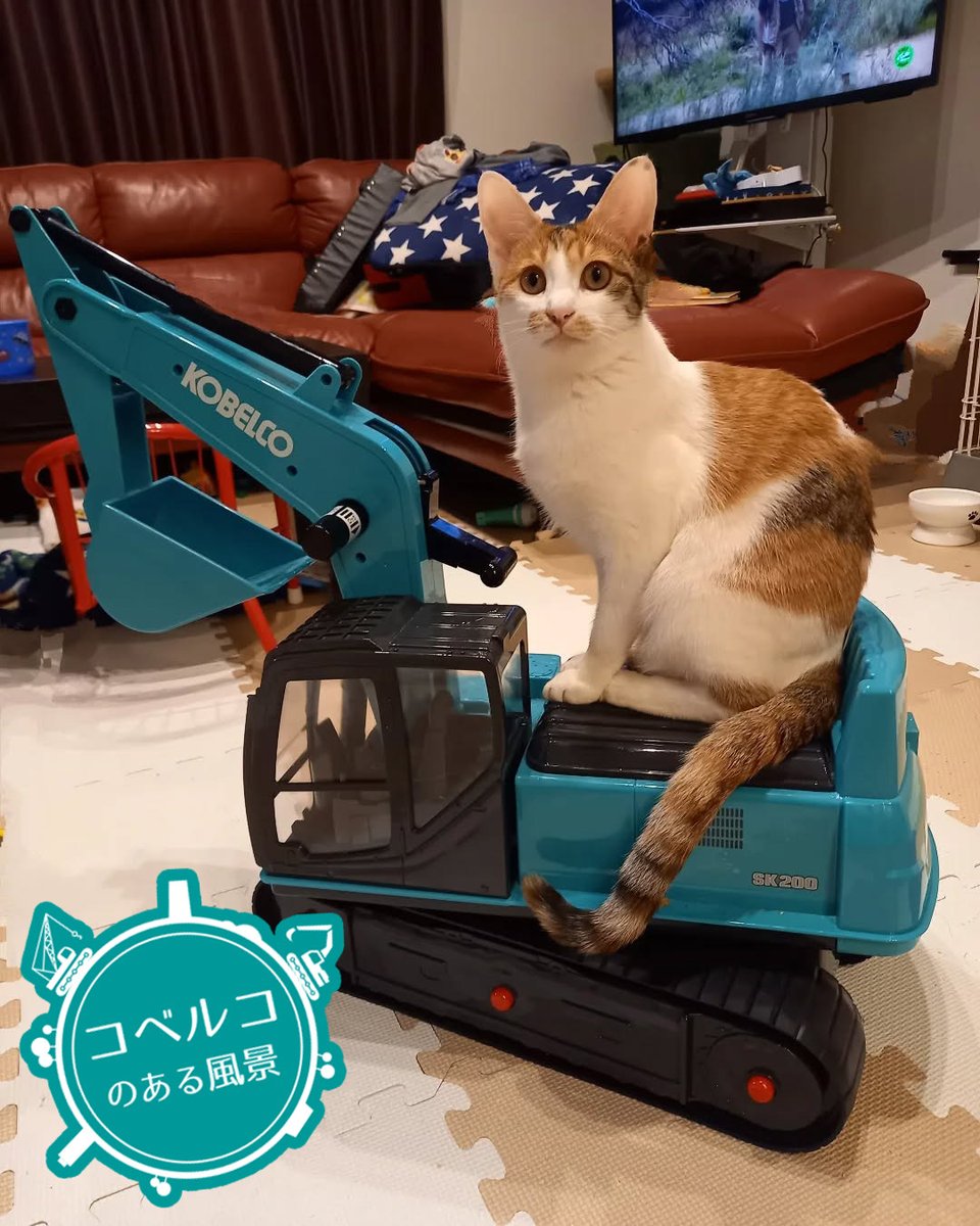 公式】コベルコ建機 (@kobelcokenki) / Highlights / X