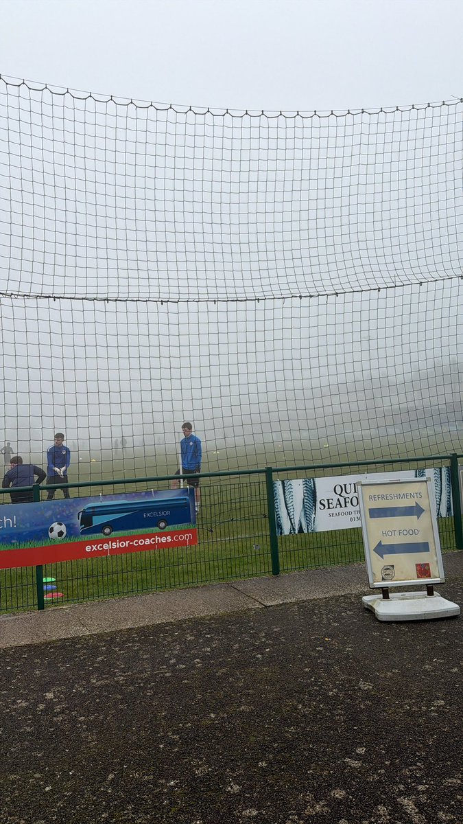 Shepps 🐝 tweet media