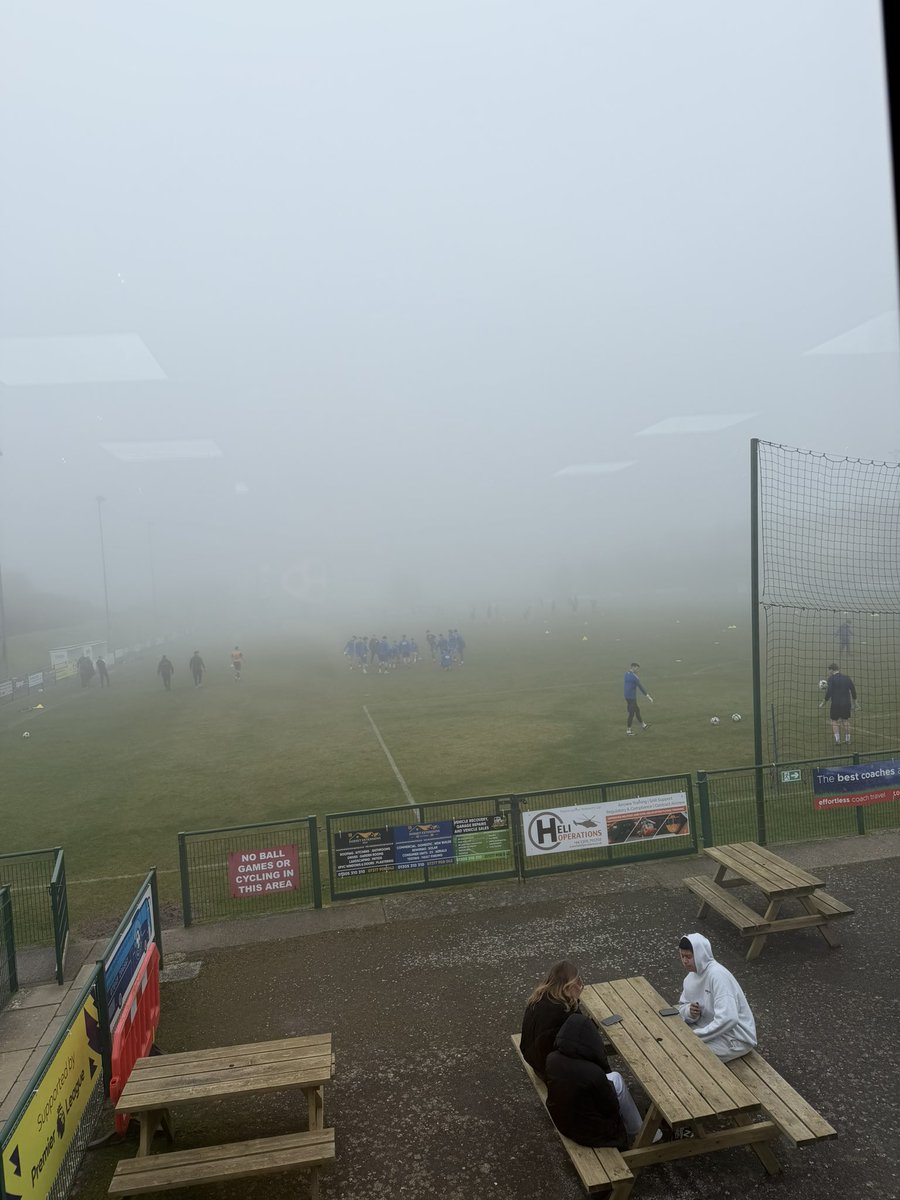 Shepps 🐝 tweet media