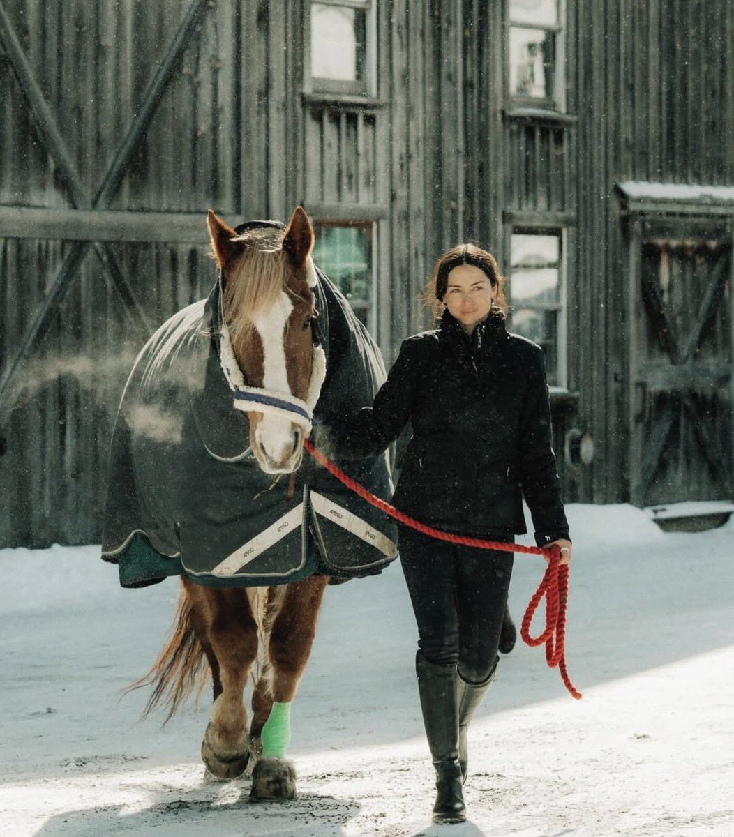 Ana de Armas Updates tweet media