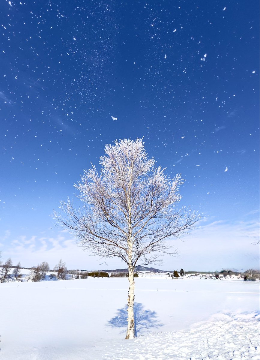 青が好き。 (@o13840) / Posts / X