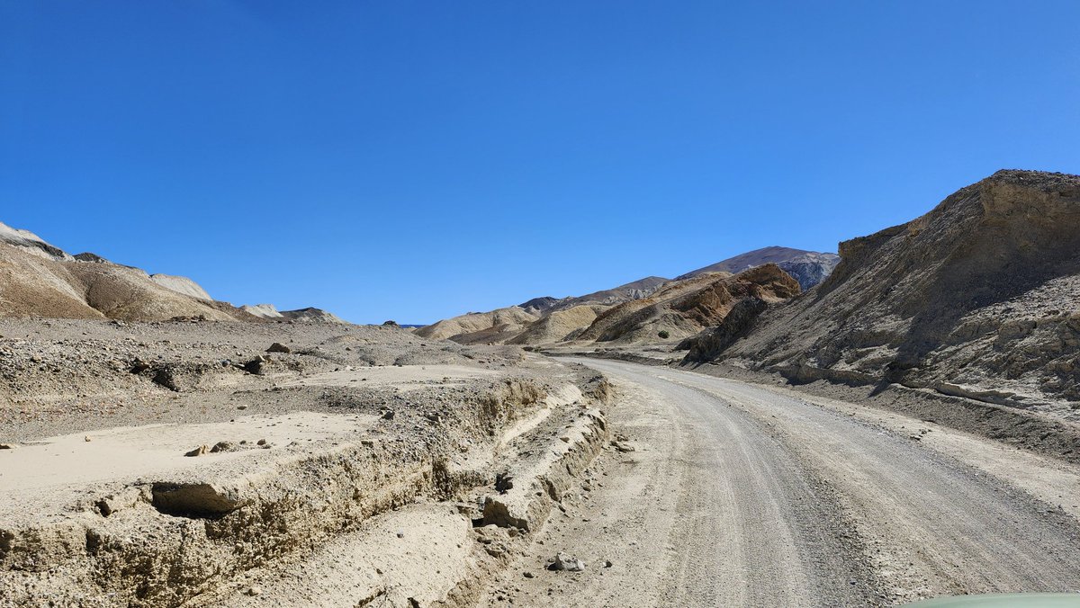 Allison Castner tweet media