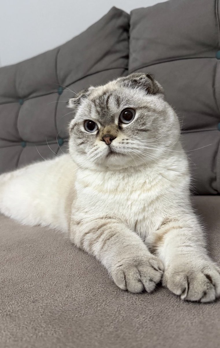 Sahura kadar nöbetteyiz