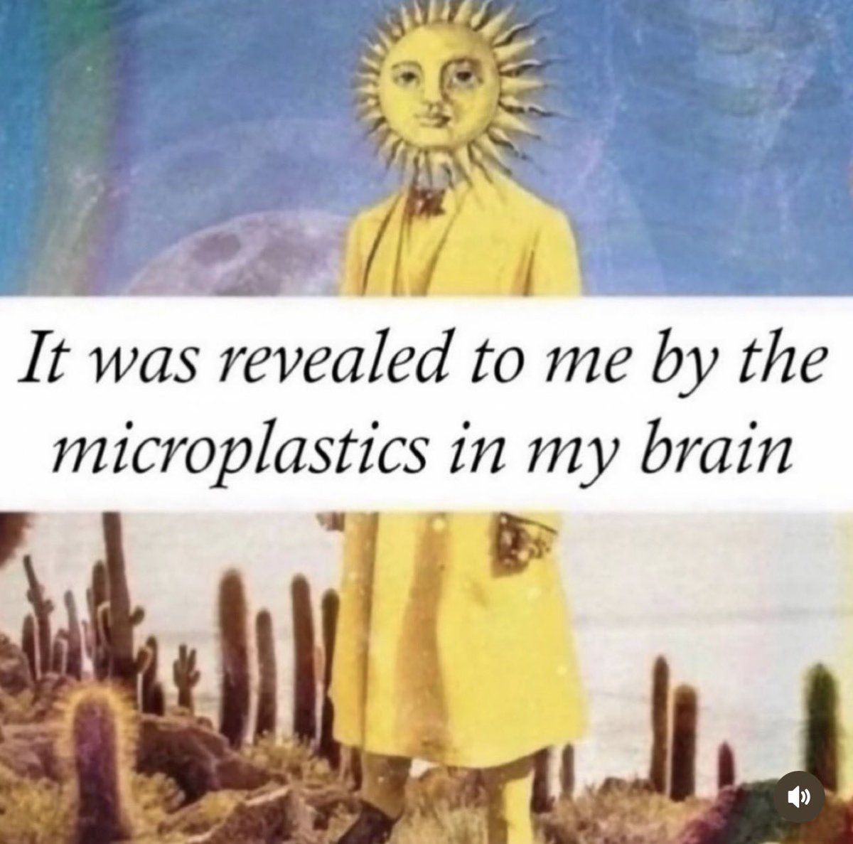 Amy Eileen Hamm tweet media