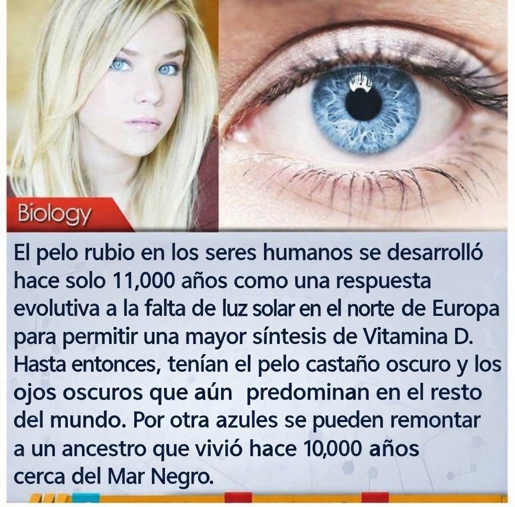 victorfyt's tweet image. Hace 11.000+ años, todos los humanos eran marrones y negros.