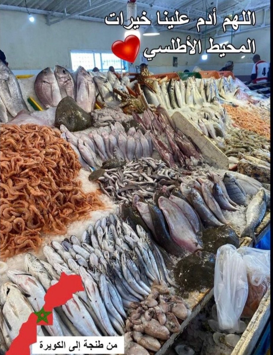 BakrimMiloud's tweet photo. @nahednaimi15274 https://t.co/lHF5gfe700