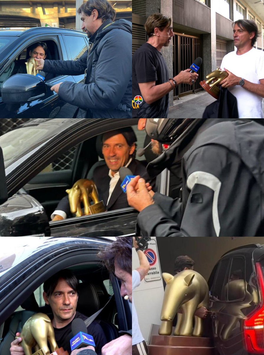 الخنزير الذهبي 🫶🏻