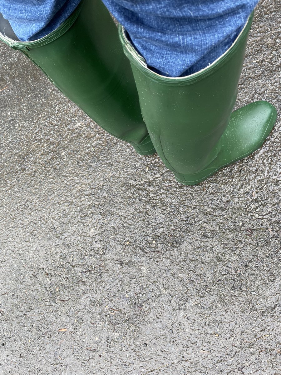 pikewilliam43 tweet media