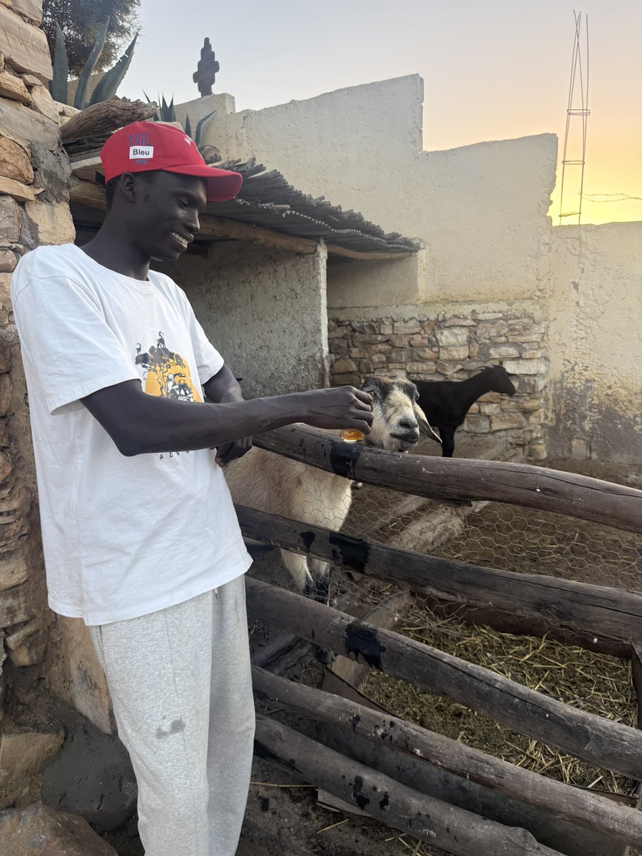 Paul Springett tweet media