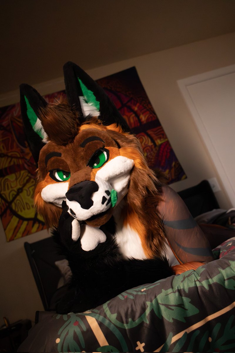 EnzoKeyote's tweet image. Some petsuit photos for your Saturday~ I got a lot more to post too 

📸 @HashHyena