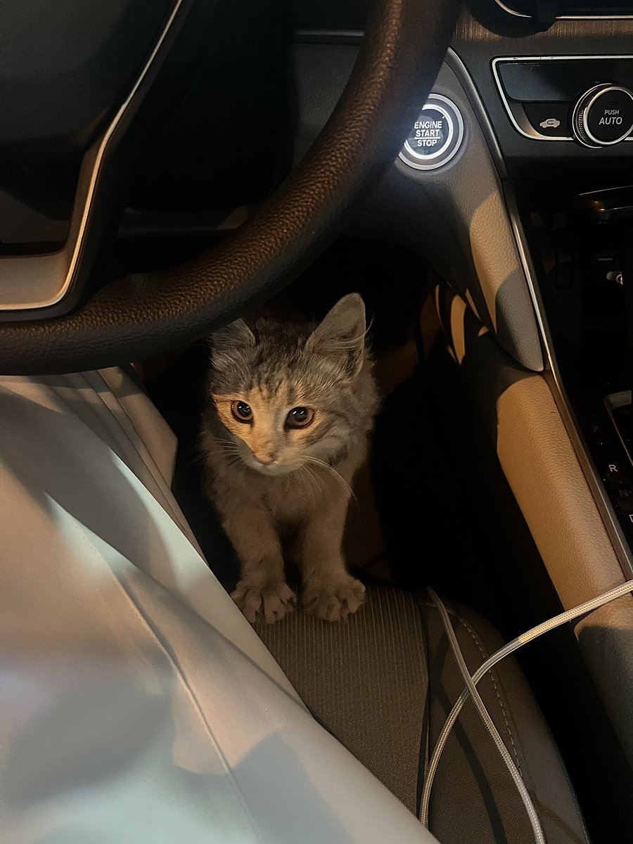 well i guess they spawn in cars now