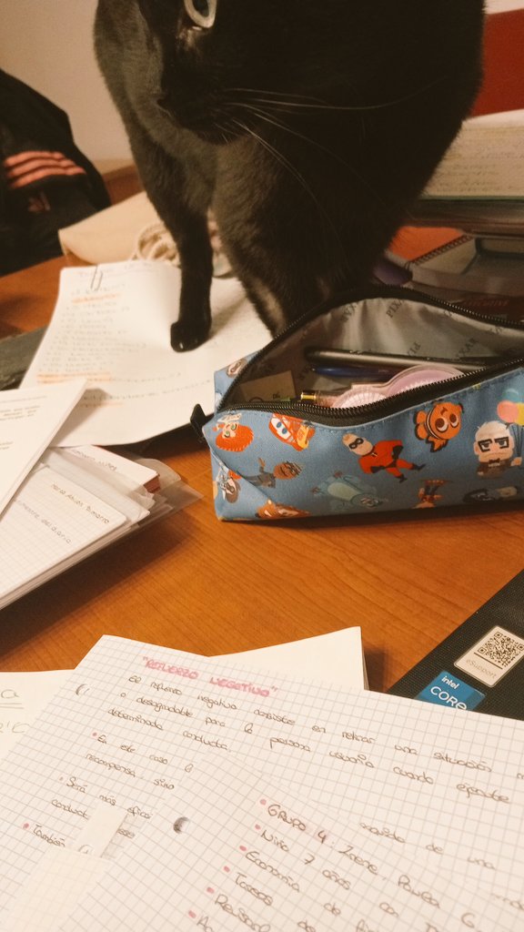 Luego dicen de los profes... Sábado de corregir! 🙈🫀💪✨