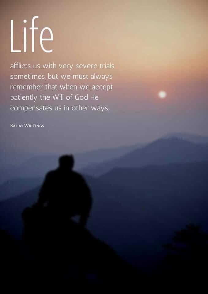 Ryan Daniels (@hallowreed) on Twitter photo 