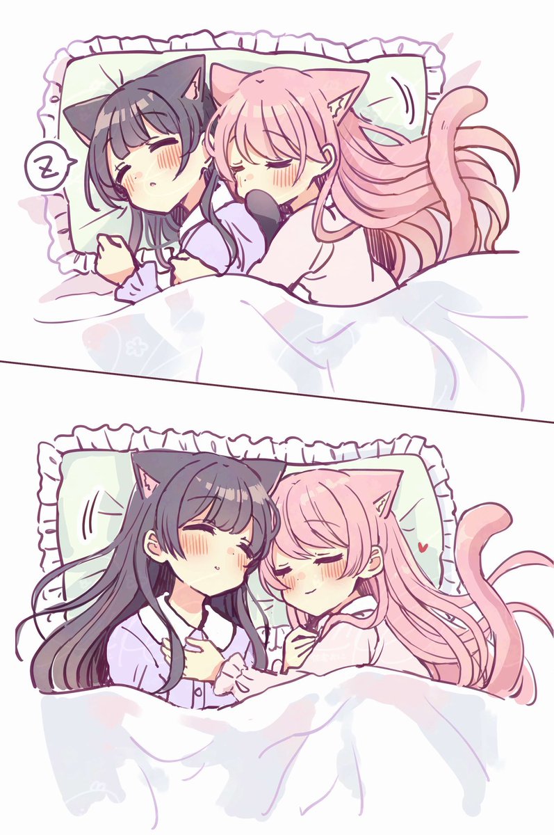 ふたりでおやすみ

#猫の日 #猫メル