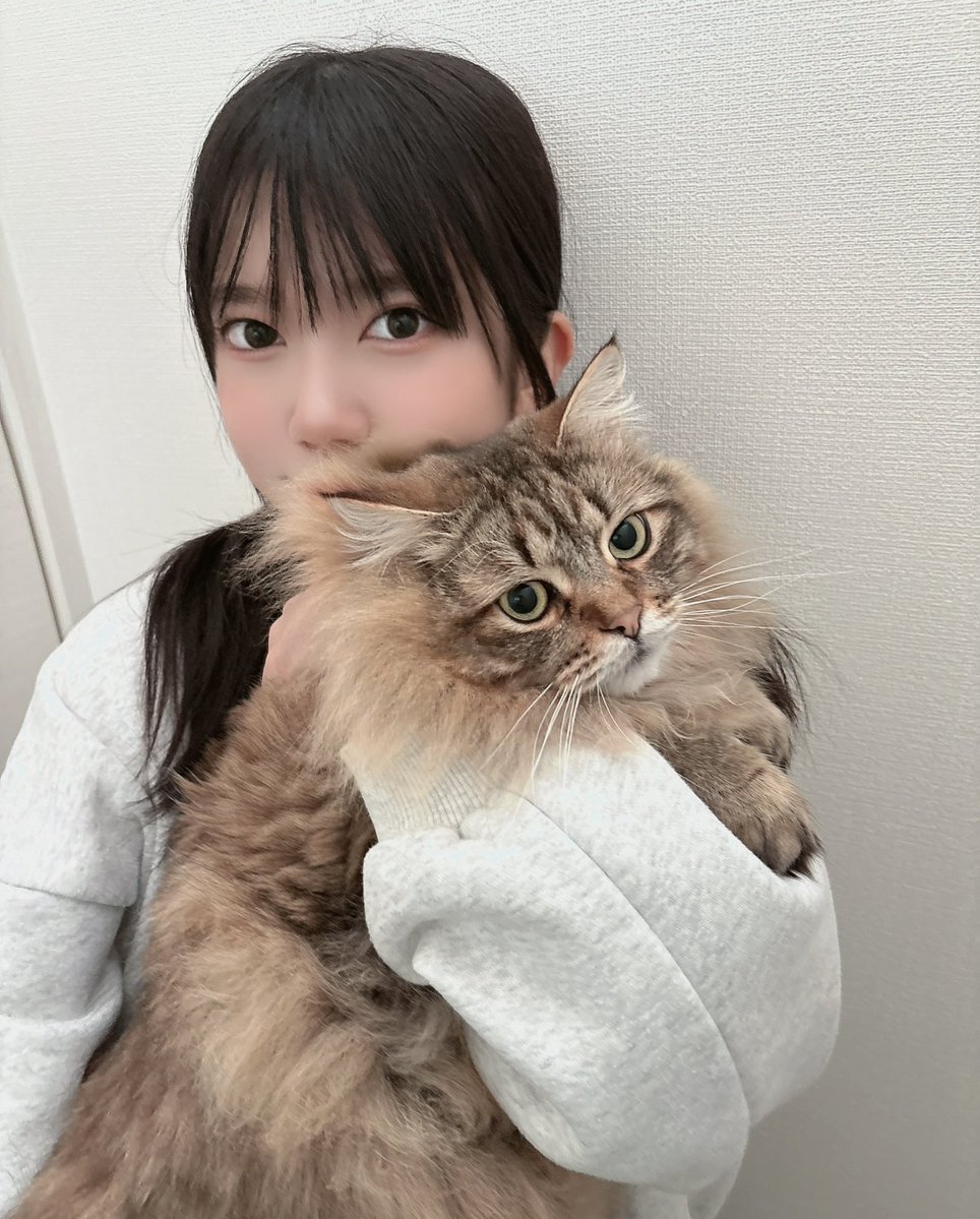 おはよー🌸 今日は猫の日🐱🐾 こんなに早く起きる予定じゃなかったのに