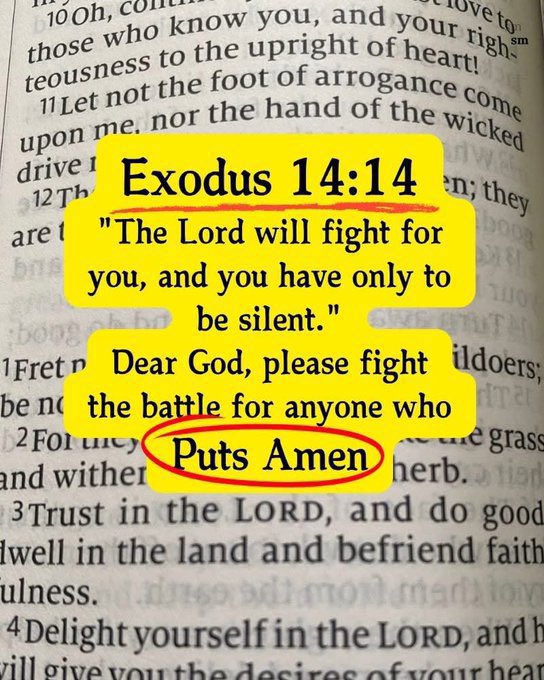 RosarySon tweet media