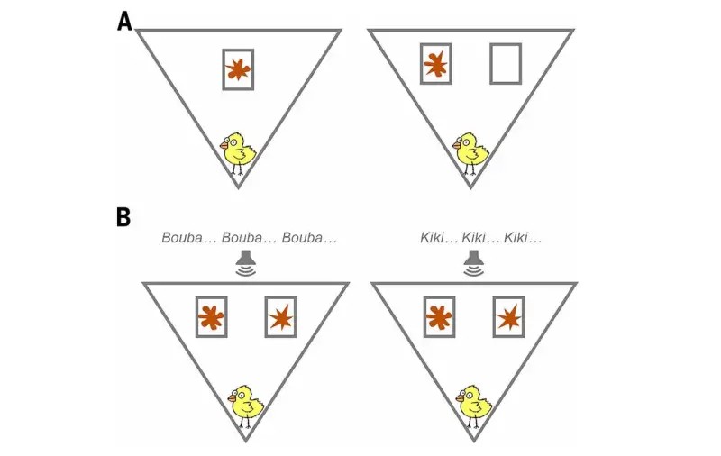 Construction Capo tweet media