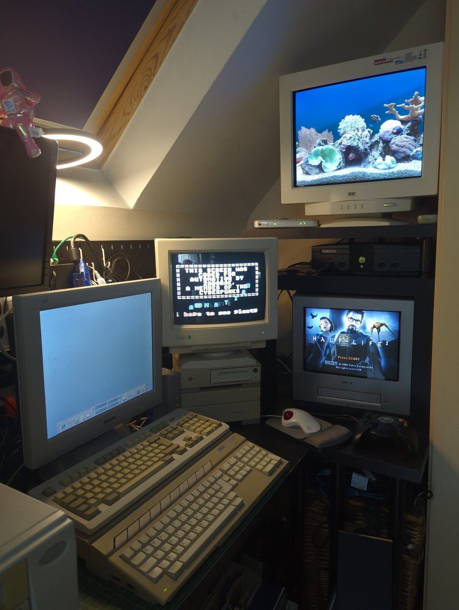 Gammitin (Ben) 💾 tweet media