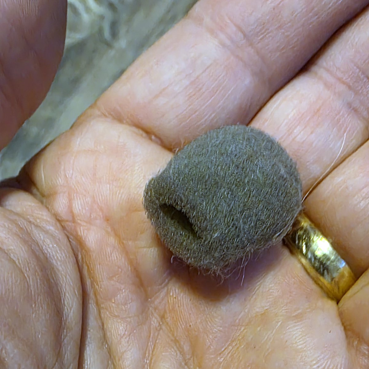 colteastwood tweet media