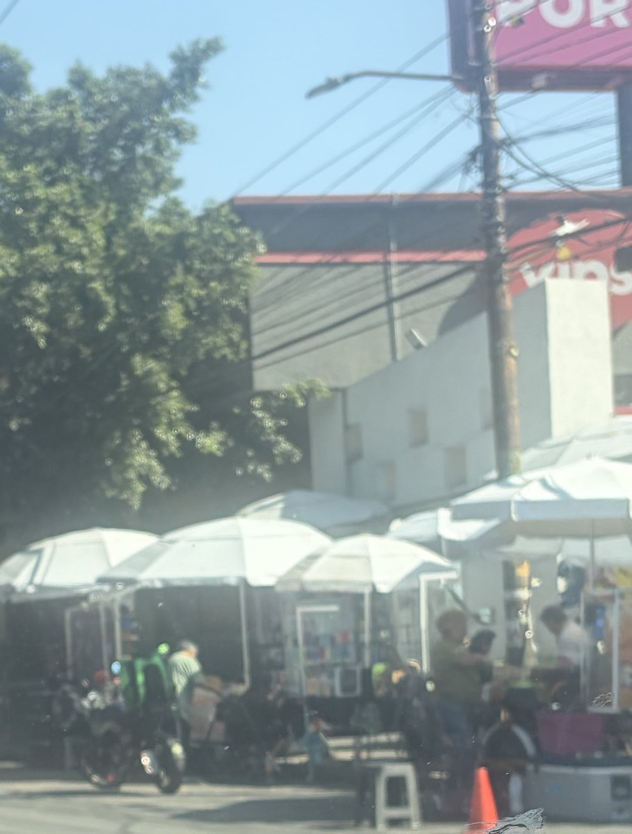 Reportandocdmx👀 tweet media