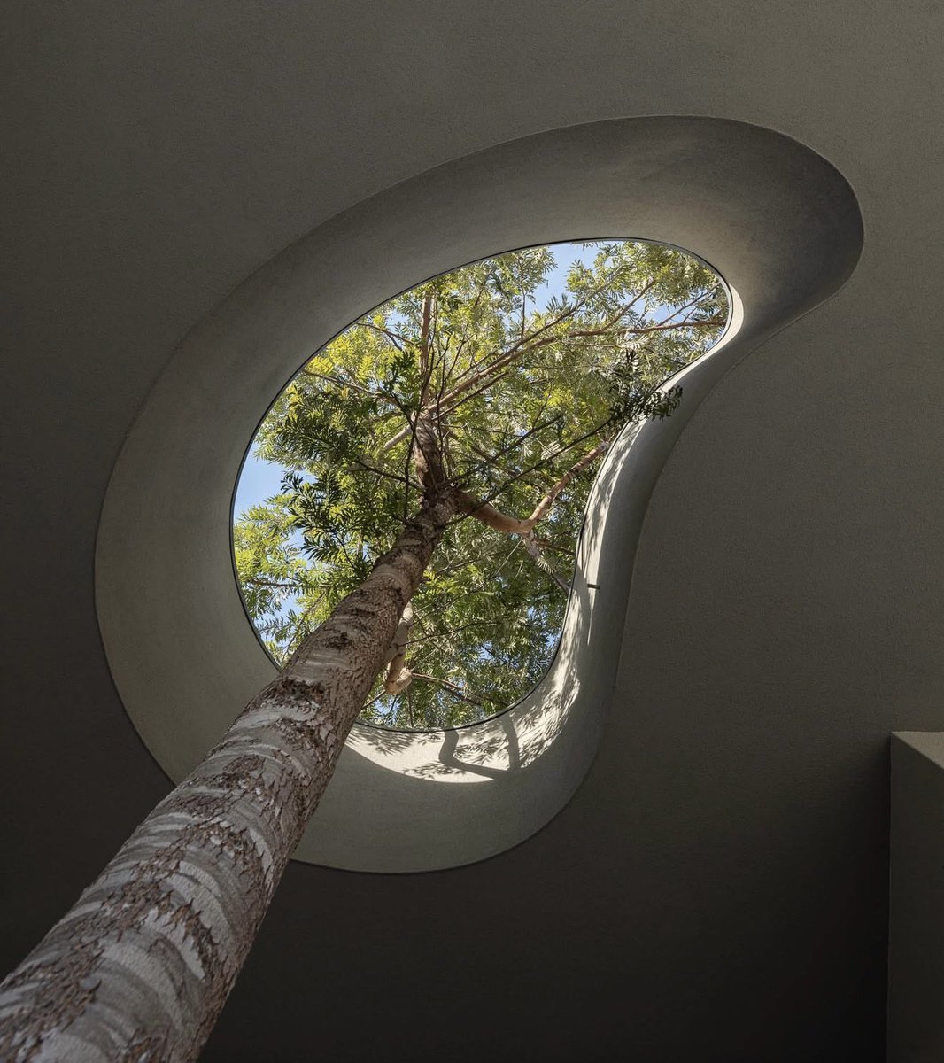 EA_ARCH's tweet photo. الإخوة المعماريين : هل هذا مفهوم دمج العمارة مع الطبيعة أم ( حشر ) الطبيعة مع العمارة ؟ أفيدونا مشكورين https://t.co/jfKDe4hbG8