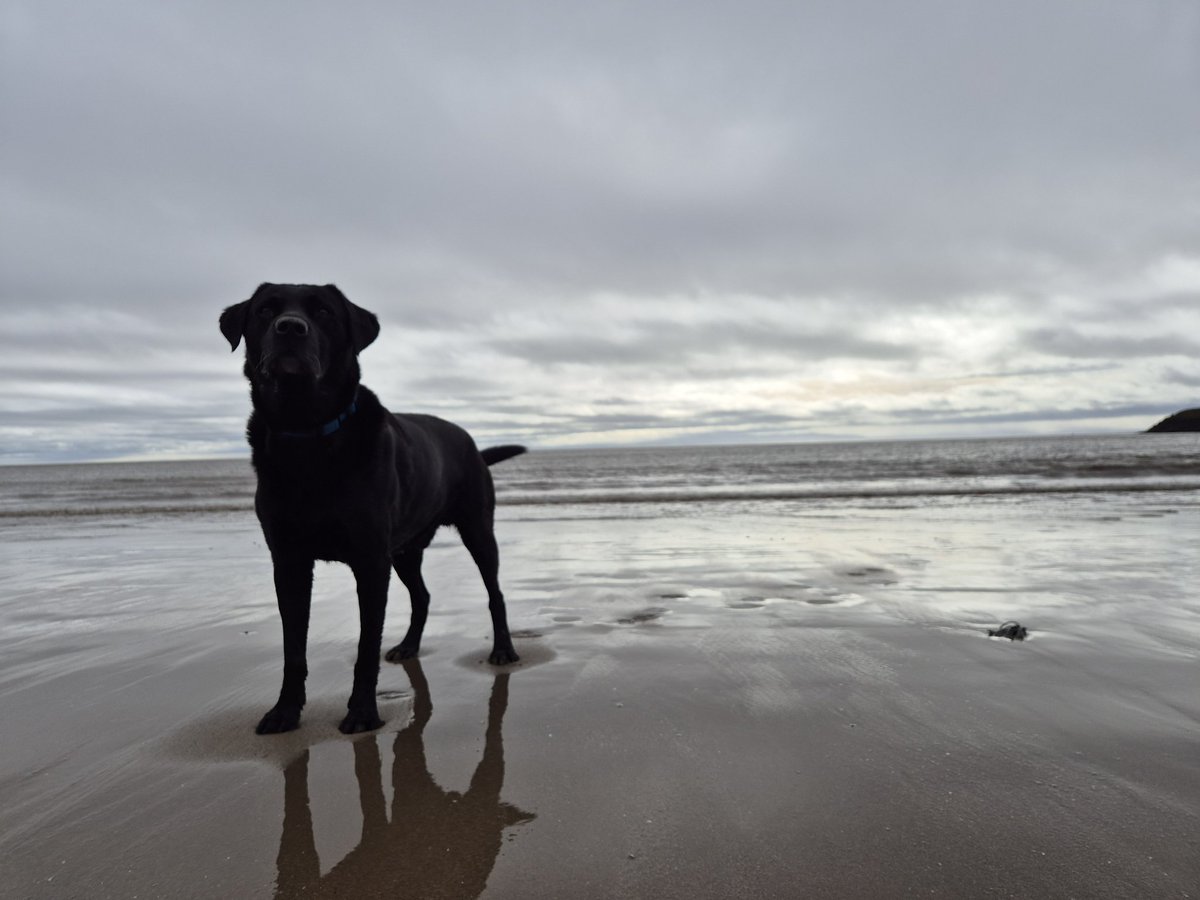 RyanGracey's tweet photo. #WalesScotland #BarryIsland #Cymru https://t.co/JSX0nPxZrA