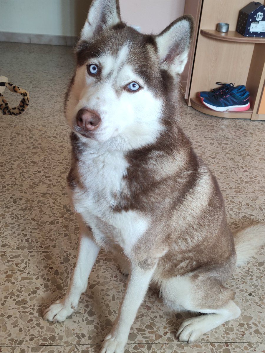 Sorayuki87 🌸COMMISSIONS Open🌸 tweet media