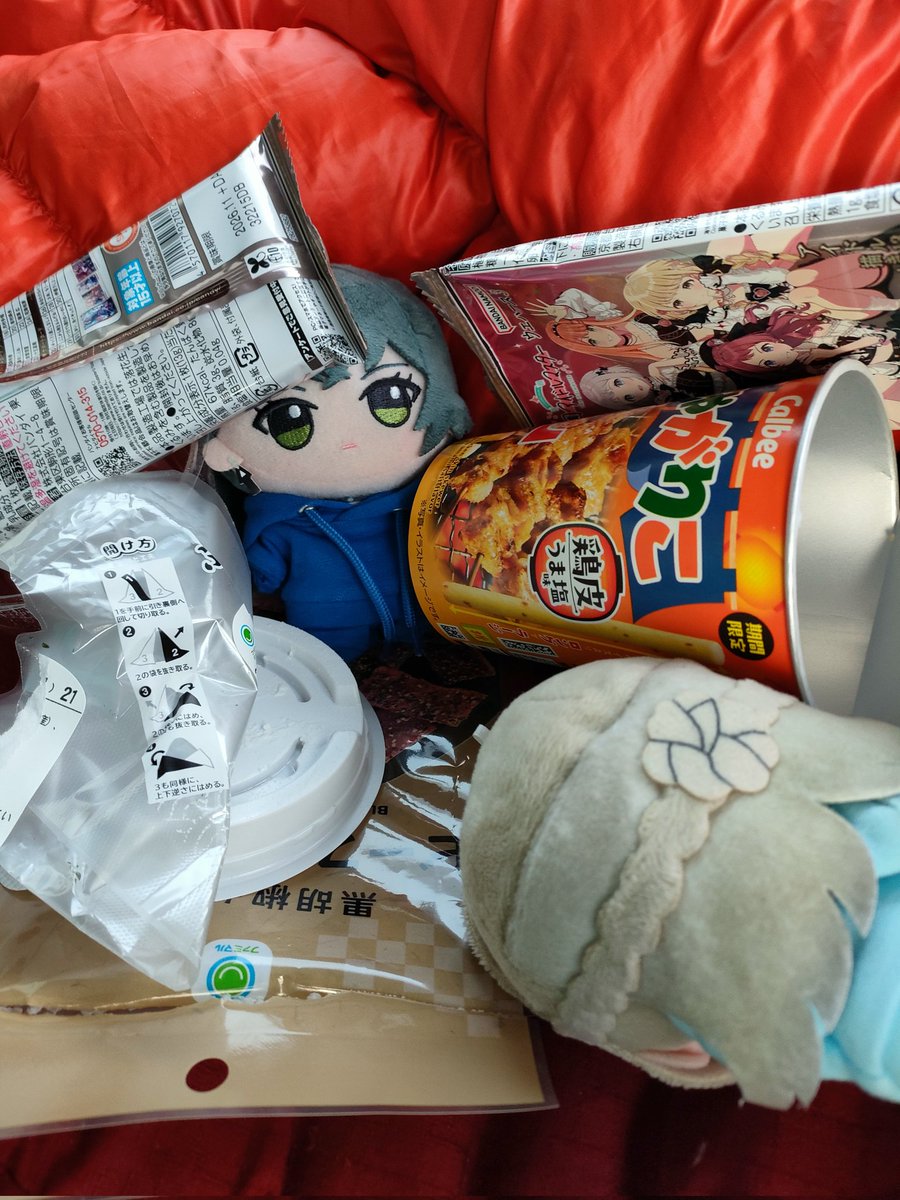 おはようござま…⁉️
昨日は、だいぶ盛り上がったみたいですね💢
#初星学園ぬいぬい部