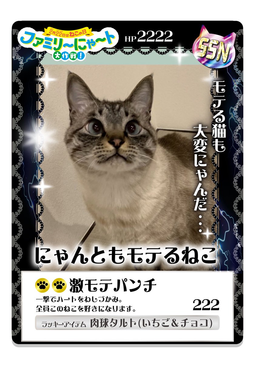 猫の日 #ねこの日