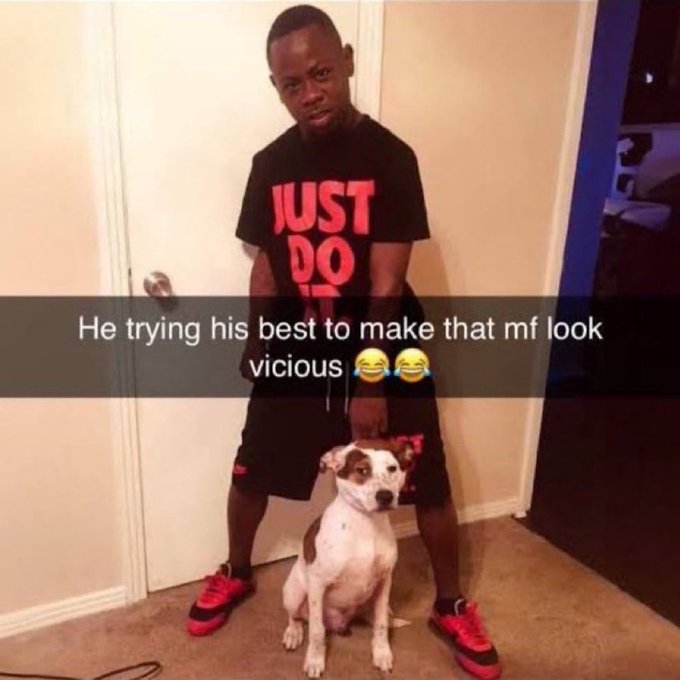 Harley hyping up baba and yarnaby like they not the sweetest looking experiments ever