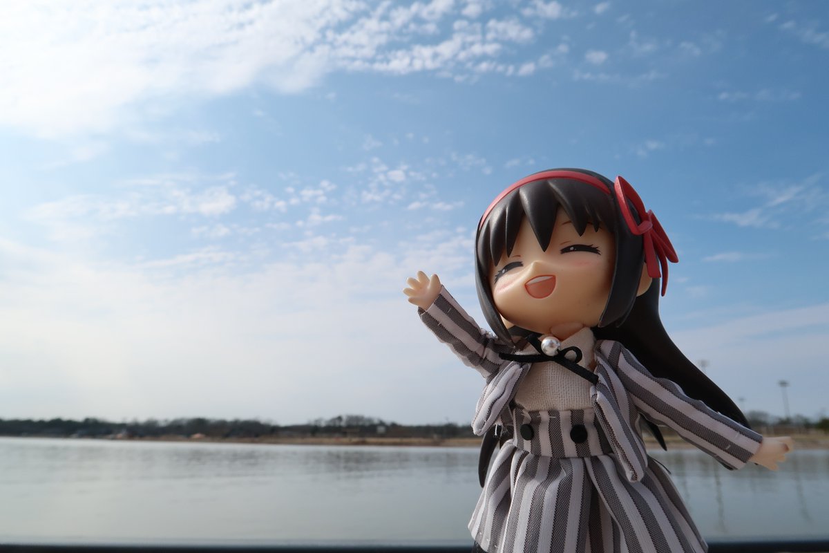 chelseatoshi's tweet photo. 滞在も3ヶ月を超えると疲れがたまってきたけど 
花が咲き出して気持ちも上がってきた。
 #ねんどろいどどーる https://t.co/vP18JrJJVL