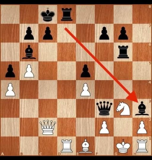 Michael Roiz tweet media