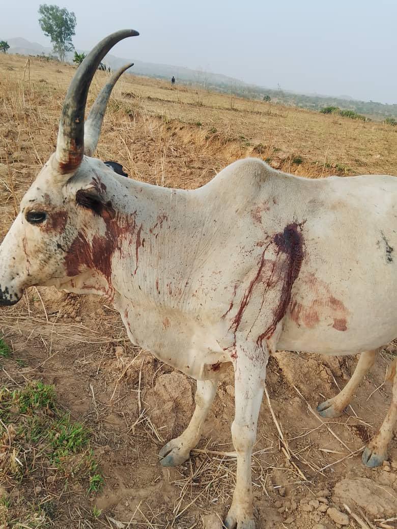 Zagazola tweet media