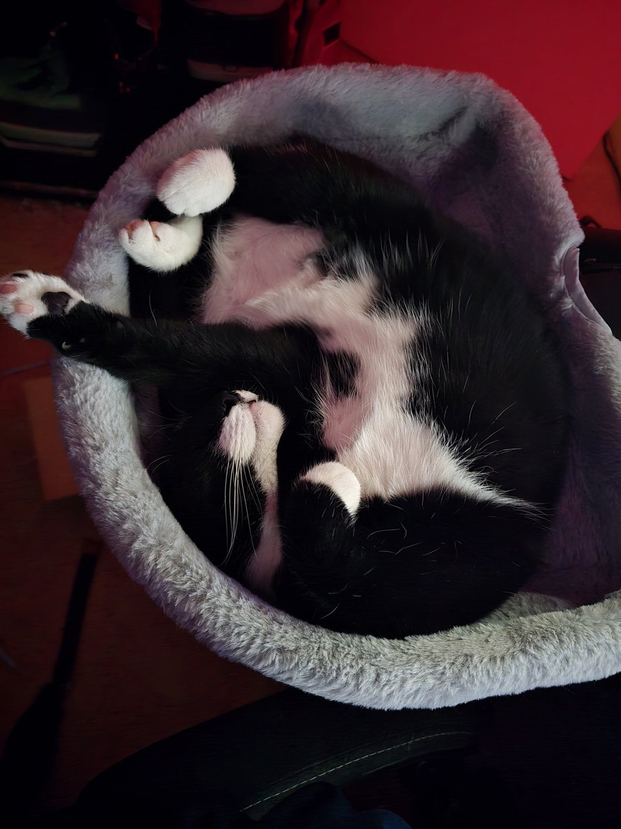 Magical Post-Nut-Shame Fairy (@toanchan_) on Twitter photo 