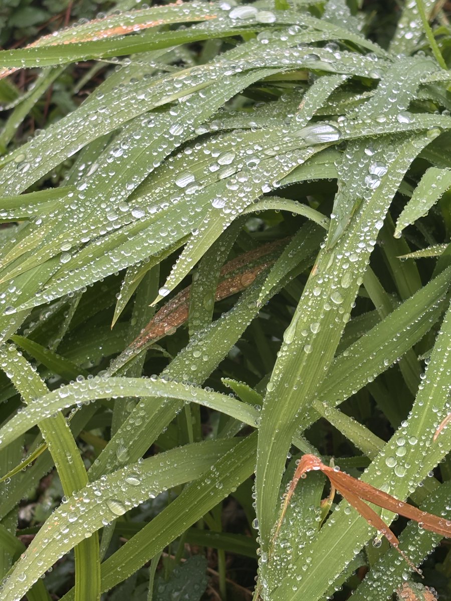 Haddini (sınırını) aşan herşey zıddına dönüşür.
Sevinç acıya, sevgi nefrete, samimiyet enaniyete, doğru yanlışa, zevk cefaya, özgürlük esarete, sadakat ihanete, haz ıstıraba ve nimet külfete…
